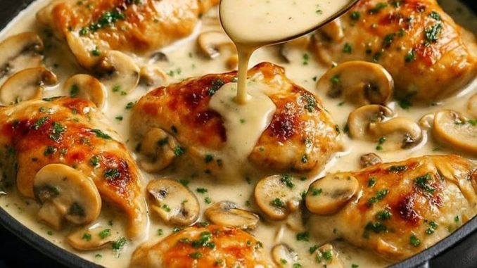 600122507_902535168969194_7452725033292041157_n